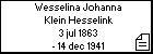 Wesselina Johanna Klein Hesselink