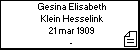 Gesina Elisabeth Klein Hesselink