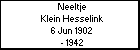 Neeltje Klein Hesselink