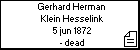 Gerhard Herman Klein Hesselink