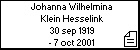 Johanna Wilhelmina Klein Hesselink