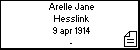 Arelle Jane Hesslink