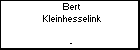 Bert Kleinhesselink