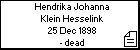 Hendrika Johanna Klein Hesselink