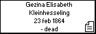 Gezina Elisabeth Kleinhesseling