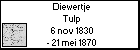 Diewertje Tulp